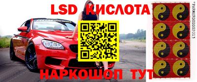 стаф Кингисепп