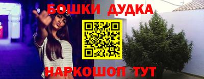 spice Кинель