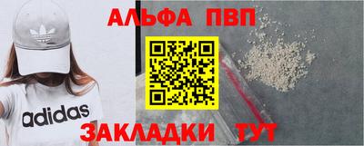 стаф Кингисепп
