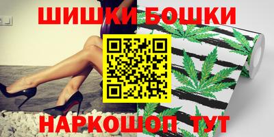 стаф Кингисепп