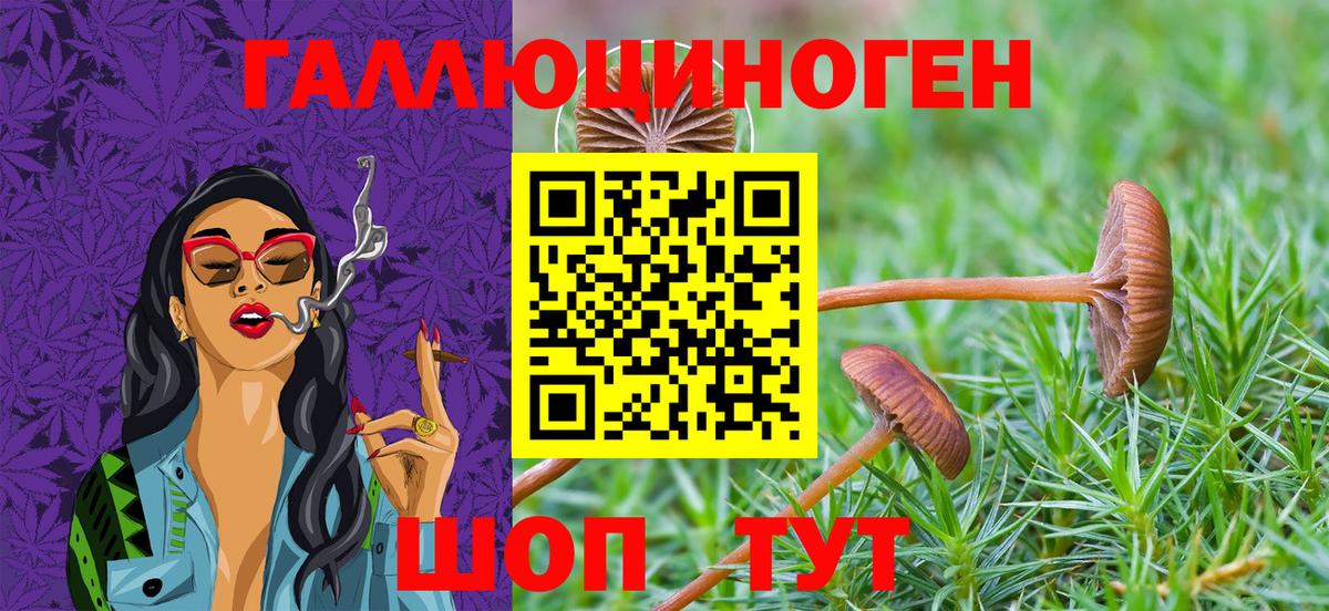 Галлюциногенные грибы прущие грибы Ковров