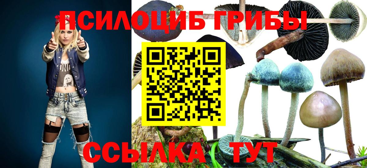 Галлюциногенные грибы Magic Shrooms  Галлюциногенные грибы прущие грибы  Ковров  Вход с VPN 